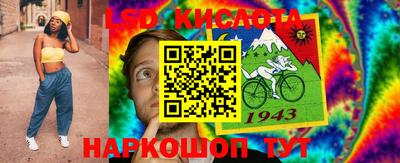 гидра Гатчина