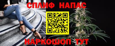 гидра Гатчина