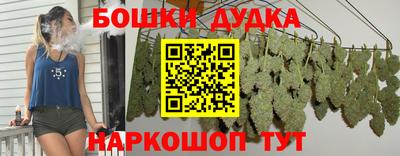 гидра Гатчина