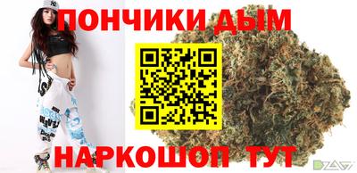 гидра Гатчина