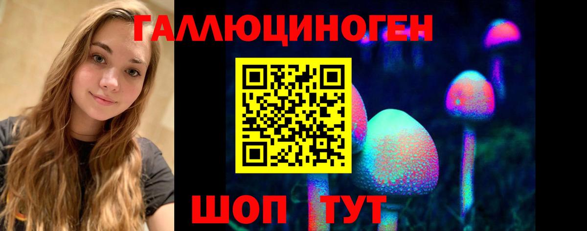 Псилоцибиновые грибы мицелий Знаменск